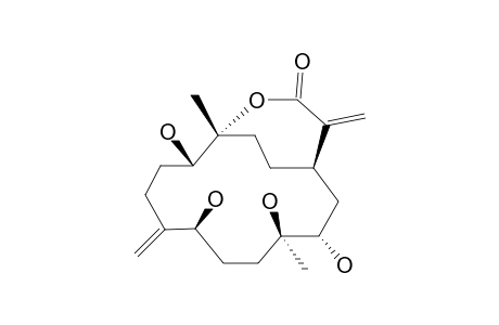 SINULAFLEXIOLIDE_D