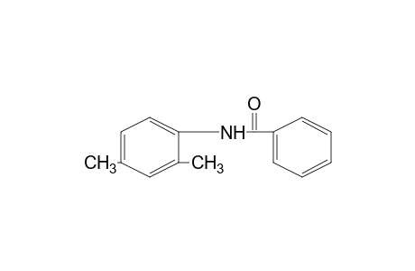 2',4'-benzoxylidide