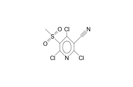 5-(METHYLSULFONYL)-2,4,6-TRICHLORONICOTINONITRILE