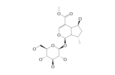 PENSTEMONOSIDE