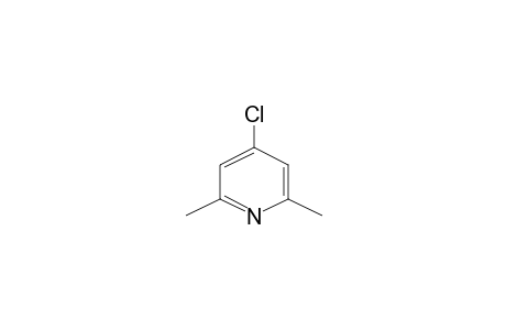 4-Chloro-2,6-dimethylpyridine