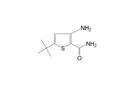 3-amino-5-tert-butyl-2-thiophenecarboxamide