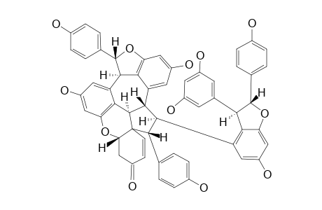 SHOREAKETONE;MAJOR-CONFORMER