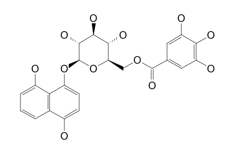 1,4,8-TRIHYDROXYNAPHTHALENE-1-O-BETA-D-[6'-O-(3'',4'',5''-TRIHYDROXYBENZOYL)]-GLUCOPYRANOSIDE