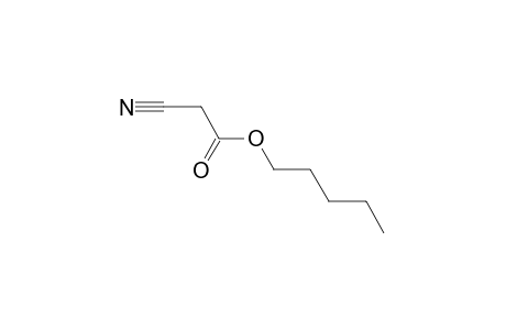 cyanoacetic acid, pentyl ester