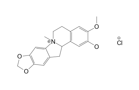 CRYPTOWOLINE