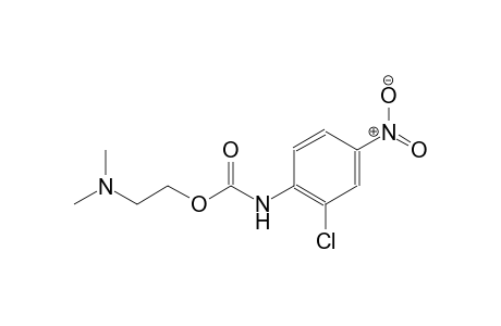 2-chloro-4-nitrocarbanilic acid, 2-(dimethylamino)ethyl ester