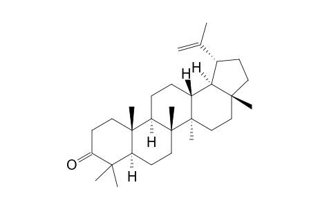 LUPENON