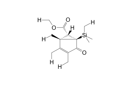 1,2,3-TRIMETHYL-4-OXO-5-TRIMETHYLSILYLBICYCLO[3.1.0]HEX-2-EN-6-CARBOXYLIC ACID, METHYL ESTER