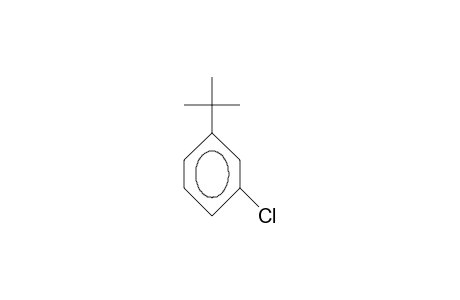 1-tert-Butyl-3-chloro-benzene