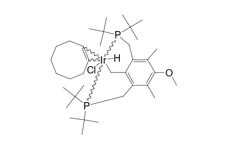 IR(DTBPA)(H)(COE)CL