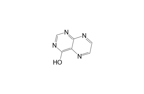 4-pteridinol