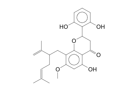 EXIGUAFLAVANONE B