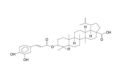 LUP-20(29)-EN-28-OIC ACID, 3-[[3-(3,4-DIHYDROXYPHENYL)-1-OXO-2-PROPENYL]OXY]-