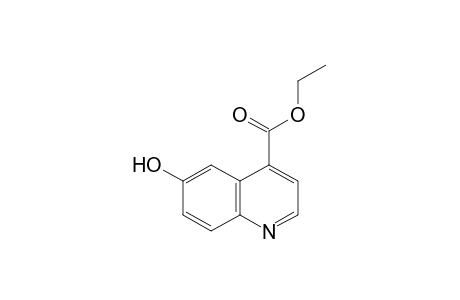 6-Hydroxy-cinchoninic acid, ethyl ester