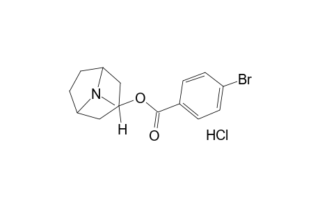 tropan-3-ol, p-bromobenzoate (ester), hydrochloride