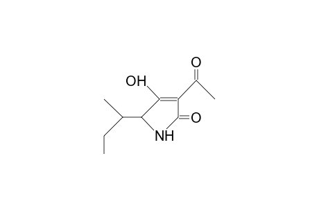 3-Acetyl-4-hydroxy-5-(1-methyl-propyl)-3-pyrrolin-2-one