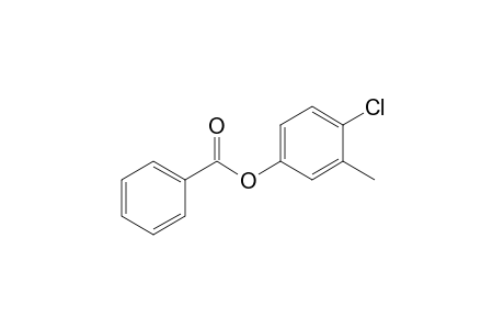 4-Chloro-m-tolyl benzoate