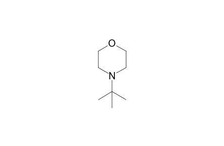 4-tert-butylmorpholine