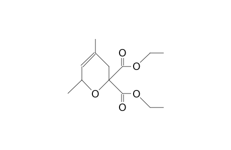 2,2-DIETHOXYCARBONYL-4,6-DIMETHYL-3,6-DIHYDRO-2H-PYRAN