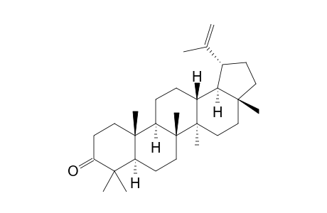 LUPENON