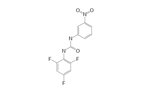 N-(2,4,6-TRIFLUOROPHENYL)-N'-(3-NITROPHENYL)-UREA