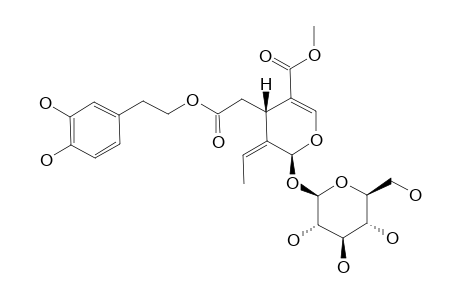 OLEUROPEIN