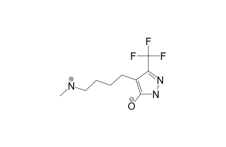 5-HYDROXY-4-(4-METHYLAMINOBUTYL)-3-TRIFLUOROMETHYLPYRAZOLE