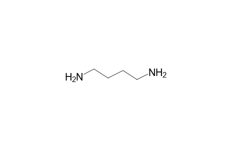 Putrescine (1,4-diaminobutane)