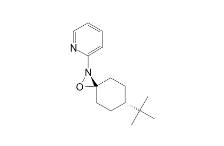 (CIS)-6-TERT.-BUTYL-2-PYRIDYL-1-OXA-2-AZASPIRO-[2.5]-OCTANE