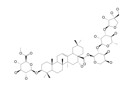 SCABEROSIDE-A1;3-O-BETA-[6-O-METHYL-GLUCURONOPYRANOSYL]-ECHINOCYSTIC-ACID-28-O-[APIOFURANOSYL-(1->3)-RHAMNOPYRANOSYL-(1->2)-ARABINOPYRANOSYL]-ESTE