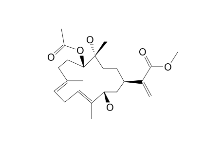 DENDRONPHOLIDE_D