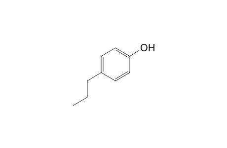 4-Propylphenol