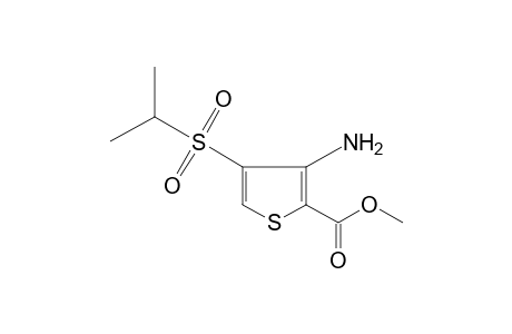 3-amino-4-(isopropylsulfonyl)-2-thiophenecarboxylic acid, methyl ester