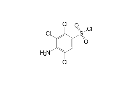 2,3,5-trichlorosulfanilyl chloride