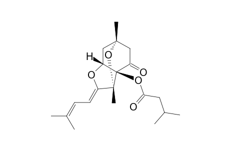 LIGNIVOLONE_B