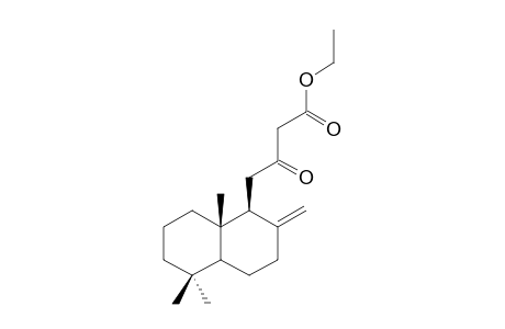 ETHYL-12-OXO-15,16-BISNORLABDAN-8(17)-EN-14-OATE