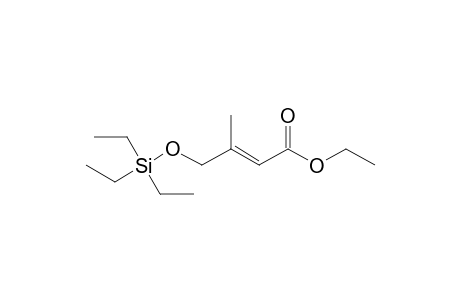 ETHYL-(2E)-3-METHYL-4-[(TRIETHYLSILYL)-OXY]-2-BUTENOATE