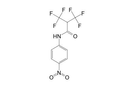 3,3,3-Trifluoro-N-(4-nitrophenyl)-2-(trifluoromethyl)propanamide