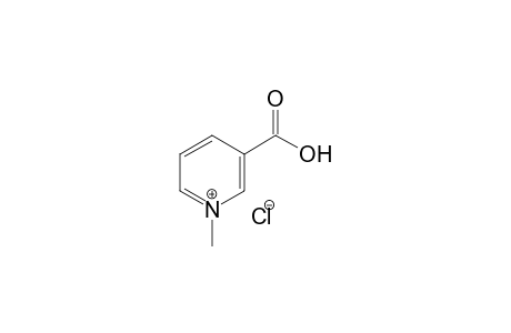 Trigonelline chloride