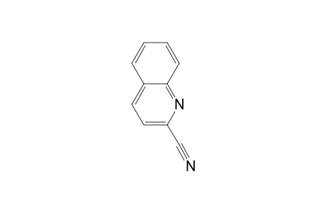 quinaldonitrile