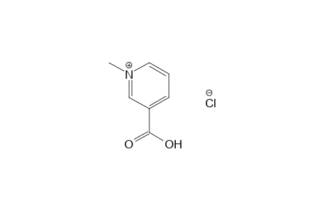 Trigonelline chloride