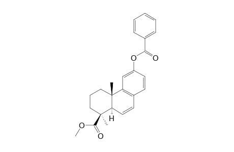 METHYL-12-BENZOYLOXY-PODOCARPA-6,8,11,13-TETRAEN-19-OATE