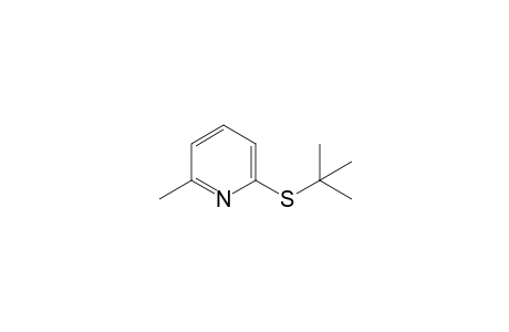 2-Picoline, 6-(tert-butylthio)-