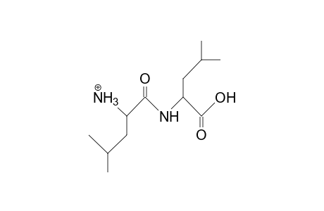 Leucyl-leucine cation