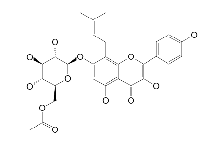 6'''-O-ACETYL-AMURENSIN