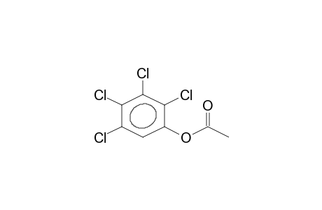 PHENOL, 2,3,4,5-TETRACHLORO-, ACETATE