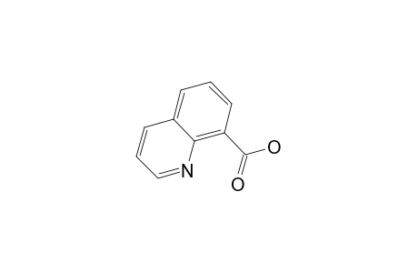 QUINOLINE-8-CARBOXYLIC-ACID