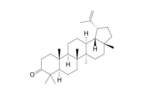 Lup-20(29)-en-3-one