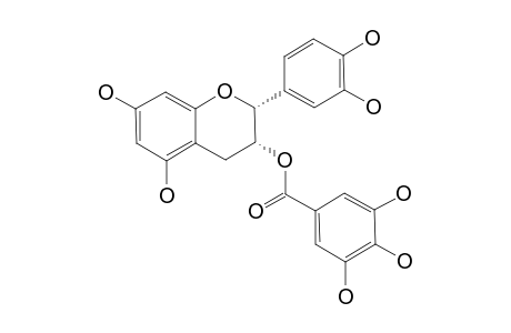 (-)-EPICATECHIN-3-O-GALLATE